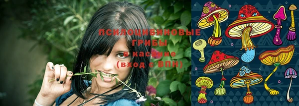 метадон Абинск